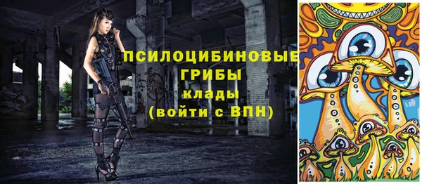 дурь Абаза