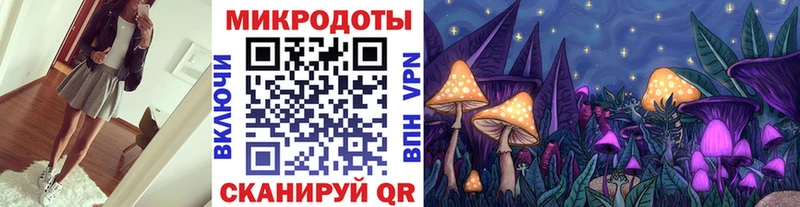 цена   Александров  Псилоцибиновые грибы Cubensis 